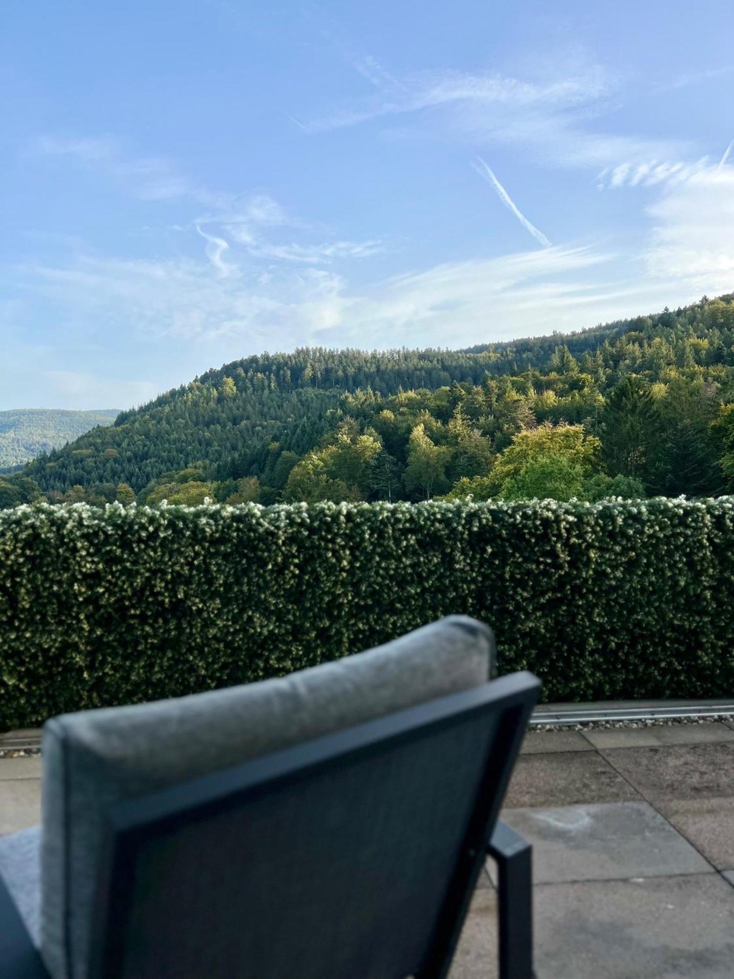 바트헤른알브 Wohnen Im Schwarzwald Mit Panoramablick 아파트 외부 사진