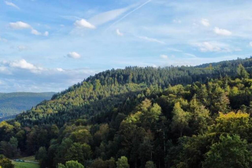 바트헤른알브 Wohnen Im Schwarzwald Mit Panoramablick 아파트 외부 사진